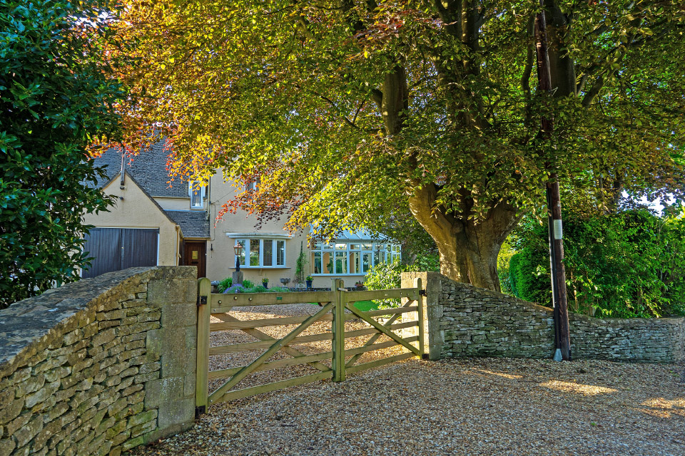 Tree Risk Assessment Surveys in {Location}